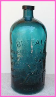 Beautiful Deep Blue Green Buffalo Lithia Mineral Springs Water Bottle
