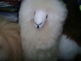 Stuffed Animal 100 Baby Alpaca Fur Llamas Wholesale
