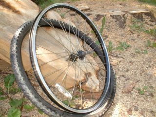 Mountain Bike Rim and Tire Rear Rim