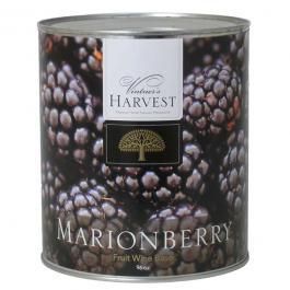 Vintners Harvest Marionberry Fruit Wine Base