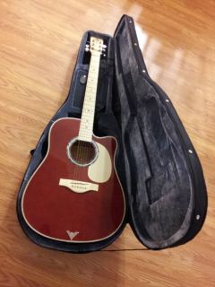 Esteban Master Class Series Guitar Acoustic Electric with Case
