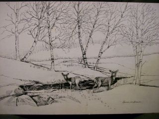 Pen Ink Drawing Deer in Winter Snow Wildlife Douglas McLellan