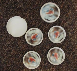  PLASTIC MAD BLUEBIRD COASTERS IN LITTLE CONTAINER 1979 MICHAEL SMITH