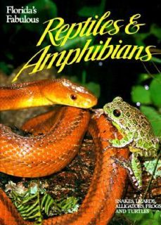 Floridas Fabulous Reptiles and Amphibians by Pete Carmichael 1991