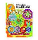 Essential Cell Biology by Karen Hopkin, Bruce Alberts, Martin Raff