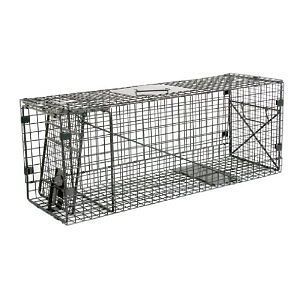 animal traps