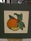 ORANGE BY DAN MITRA HAND COLORED ETCHING SIGNED AND NUMBERED RARE