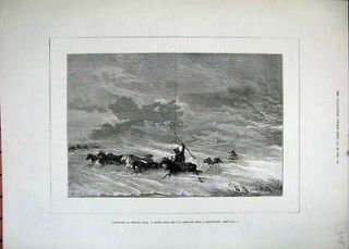 Antique Print of 1882 Asia Horse Herd Shelter Snow Storm Weather Art