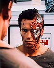 Arnold Schwarzenegger Terminator 1 SPFX Life Mask Bust