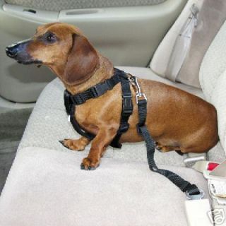Dog Safety Harness Seat Belt For Car Truck SUV SALE XLG