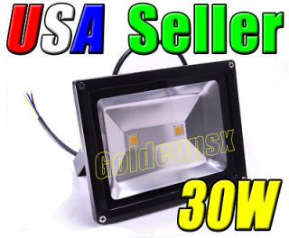 110V AC 30W 15Wx2 Cool Pure White LED Wash Flood Light Garden Outdoor
