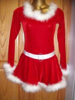 NWT Ms Santa Claus Red Velvet Ice Skating Dress AXL