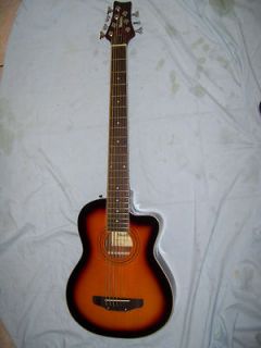 New ELectric and acoustic Bass Guitar, 7 string