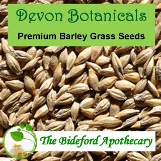Barley Grass seeds for juicing 1kg enough for 5 trays of Barley Grass