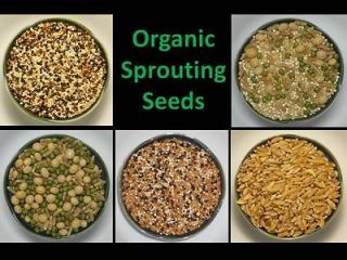 Organic Sprouting ~ Sprout Seed Mixes (by the ounce)