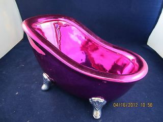Hot Pink Claw Foot Decorative Bathtub Accessory Holder 8 Long x 4