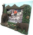 Alaska Decorative Souvenir Photo / Picture Frame   Brown Bear(Rare)