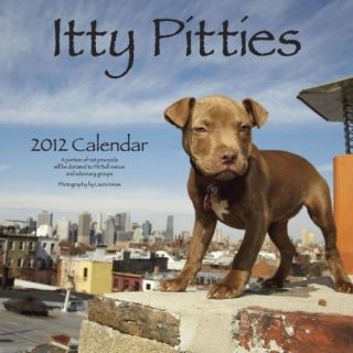 Itty Pitties 2012 Calendar pitbull puppy