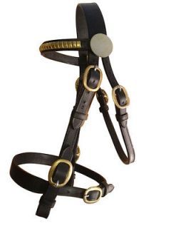 Extra Wide Leather In Hand Show Bridle Showing Cob Full Horse Stallion
