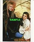Comic Con Labyrinth Amulet Goblin King David Bowie