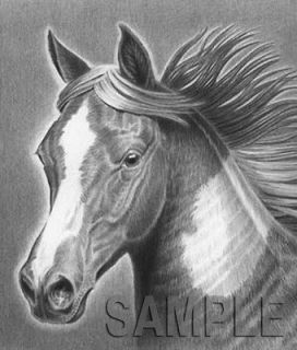 horse/paint horse/pinto/ar t/black & white/drawing/ signed print