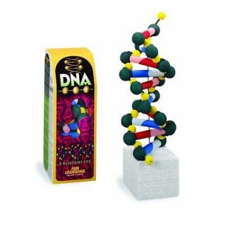 NEW FloraCraft Styrofoam Kits DNA Model Kit Pre Painted