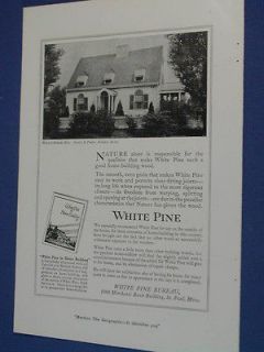 1920 White Pine Bureau advertisement, White Pine Home Building, Minn.