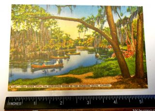 Way Down Upon the Suwannee River Four Canoe Shown Linen Florida