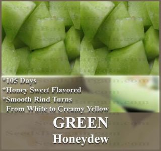 BULK ~ HONEY DEW GREEN MELON CANTALOUPE seeds ~ HIGH in A, B, and C