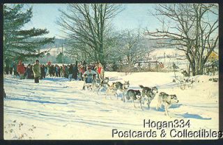 Vintage Dog Sled Races Stamford New York PC 1964