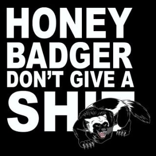 Honey Badger Dont Give a SH*T Dont Care Funny T shirt