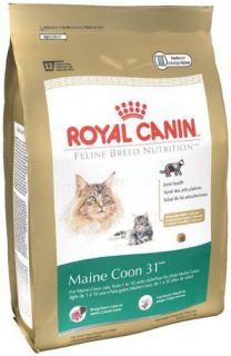Royal Canin Dry Cat Food Maine Coon 31 Formula 6 Pound Bag Pet New