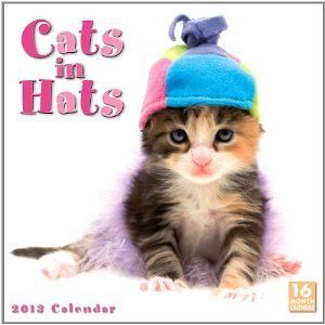 Cats in Hats 2013 Wall Calendar (new and sealed)