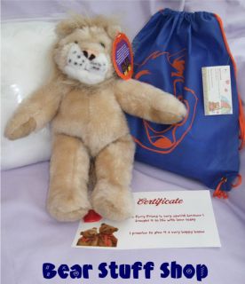 Make a Bear Backpack Kit   15 Lion   Build a Teddy Bear Party