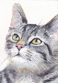 ACEO  Kiki  silver tabby cat, kitten, chat, Katze by su art
