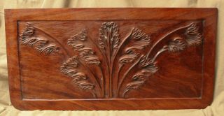 AntiqueArchite ctural Furniture Remnant Floral Carved Cherry Panel