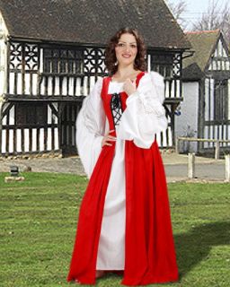 Renaissance Wench Pirate Medieval Costume Dress Gown