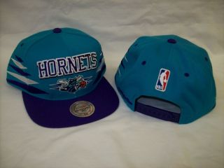 Charlotte Hornets Mitchell and Ness NE91Z Teal / Purple Snapback Cap
