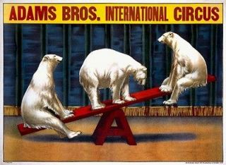 Magnet, Poster Adams Bros. International Circus Bears