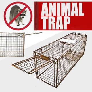 Live Animal Trap Skunk Racoon Cat 31 x 9 x 11 Cage Rabbit Box