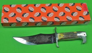 US 1987 CASE XX Limited Edition Bowie Fighting Knife & Box