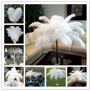 10pcs 6 22inch High Quality Natural OSTRICH FEATHERS white Color