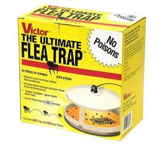 Magnet 1 Quart Trap Bait Garden Control Pest Insect Kill Safe Set NEW
