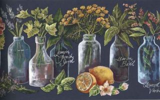 Tuscany Jar Herb Fruit Flower Script Kitchen Country Wallpaper Border