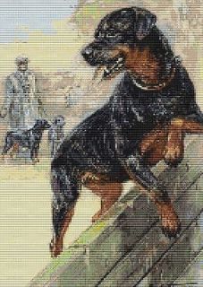 ROTTWEILER~cou nted cross stitch pattern #1303~Animals Dogs Chart