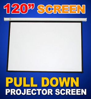 Pulldown Manual Pull Down Projector Projection Screen Matt White 43