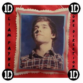 1D One Direction LIAM PAYNE Picture Pillow Decorative Mini Pillow