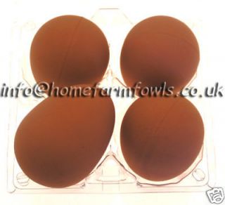 NEW 1 X HEN RUBBER EGG FOR BROODY HENS,CHICKENS, BIRDS, DISPLAYS