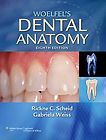 NEW Woelfels Dental Anatomy by Rickne C. Scheid Paperback Book