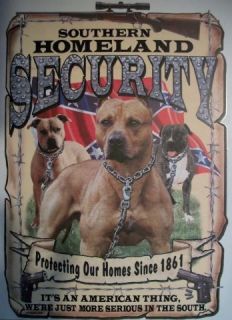 Dixie Shirt Southern Homeland Security Protecting Home Since 1861